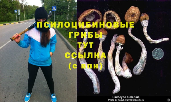 каннабис Алексин